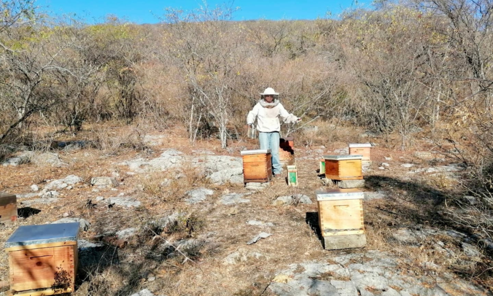 Promueve Desarrollo Económico y Sustentable en Áreas Naturales Protegidas de Morelos