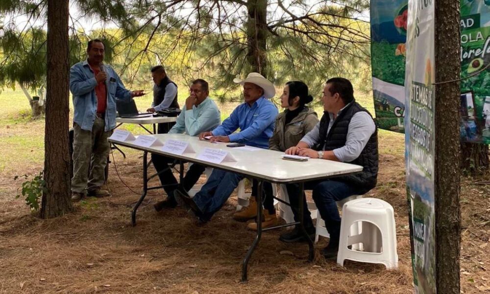 Certifican a productores de aguacate de Ocuituco y Yecapixtla