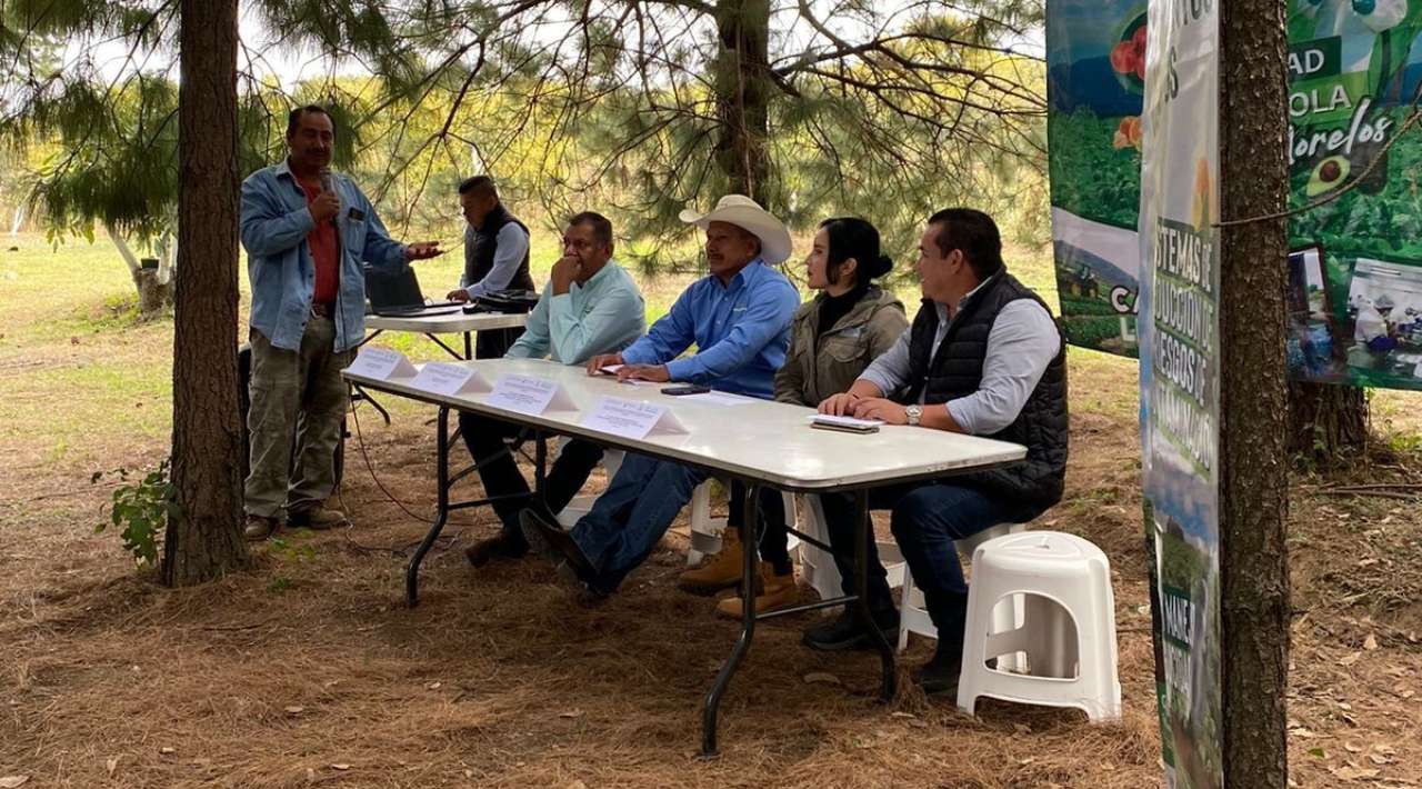 Certifican a productores de aguacate de Ocuituco y Yecapixtla