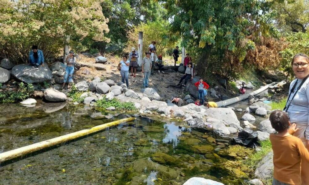 Descubrimiento Sustancial: Reaparecen especies de peces consideradas extintas en el Río Cuautla