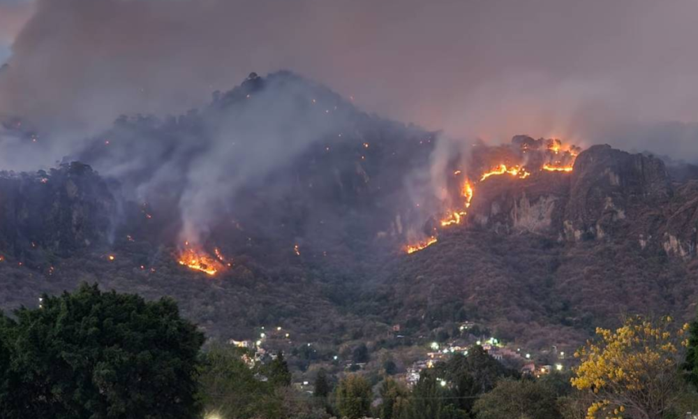 Para prevenir los incendios Forestales, el Ayuntamiento de Tepoztlán mantiene la coordinación con los guardabosques y las dependencias Estatales y Federales