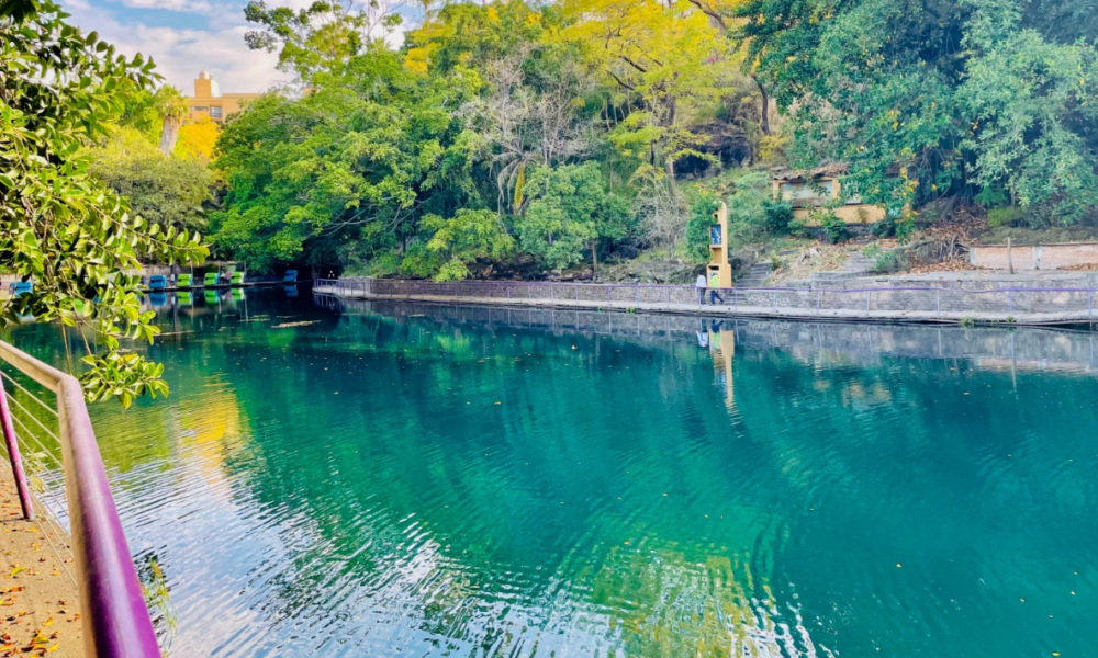 Retiran 12 toneladas de vegetación exótica y sedimentos del lago del Parque Estatal Urbano Barranca Chapultepec