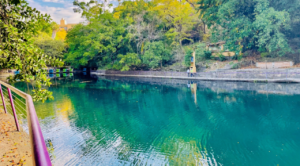 Retiran 12 toneladas de vegetación exótica y sedimentos del lago del Parque Estatal Urbano Barranca Chapultepec