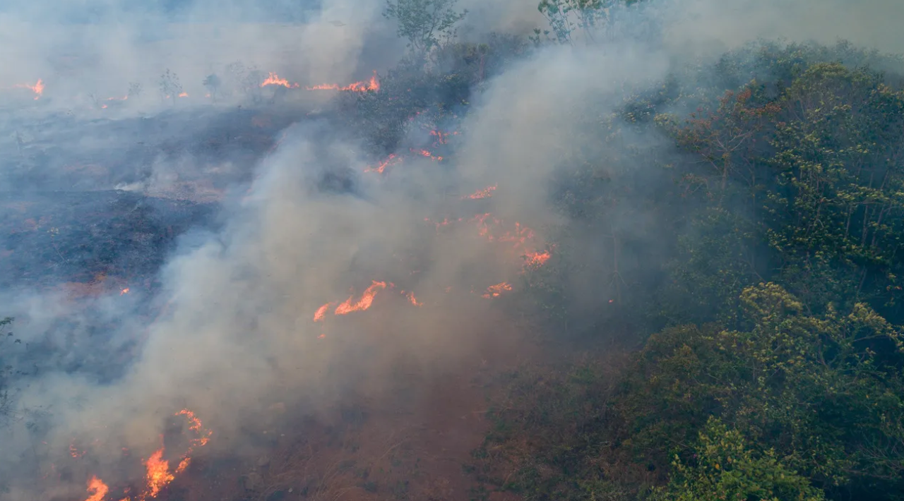 En este mes de Enero inicia la temporada de incendios forestales, hasta el momento se han registrado dos informo, la Secretaría de Desarrollo Sustentable