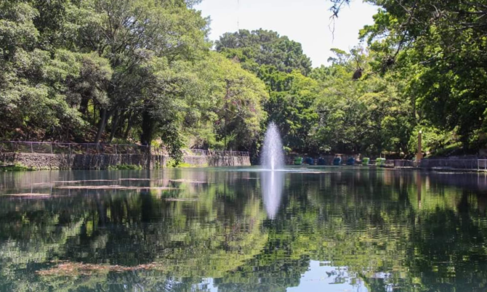 Bajan los niveles de agua de los causes en el Parque Barranca Chapultepec