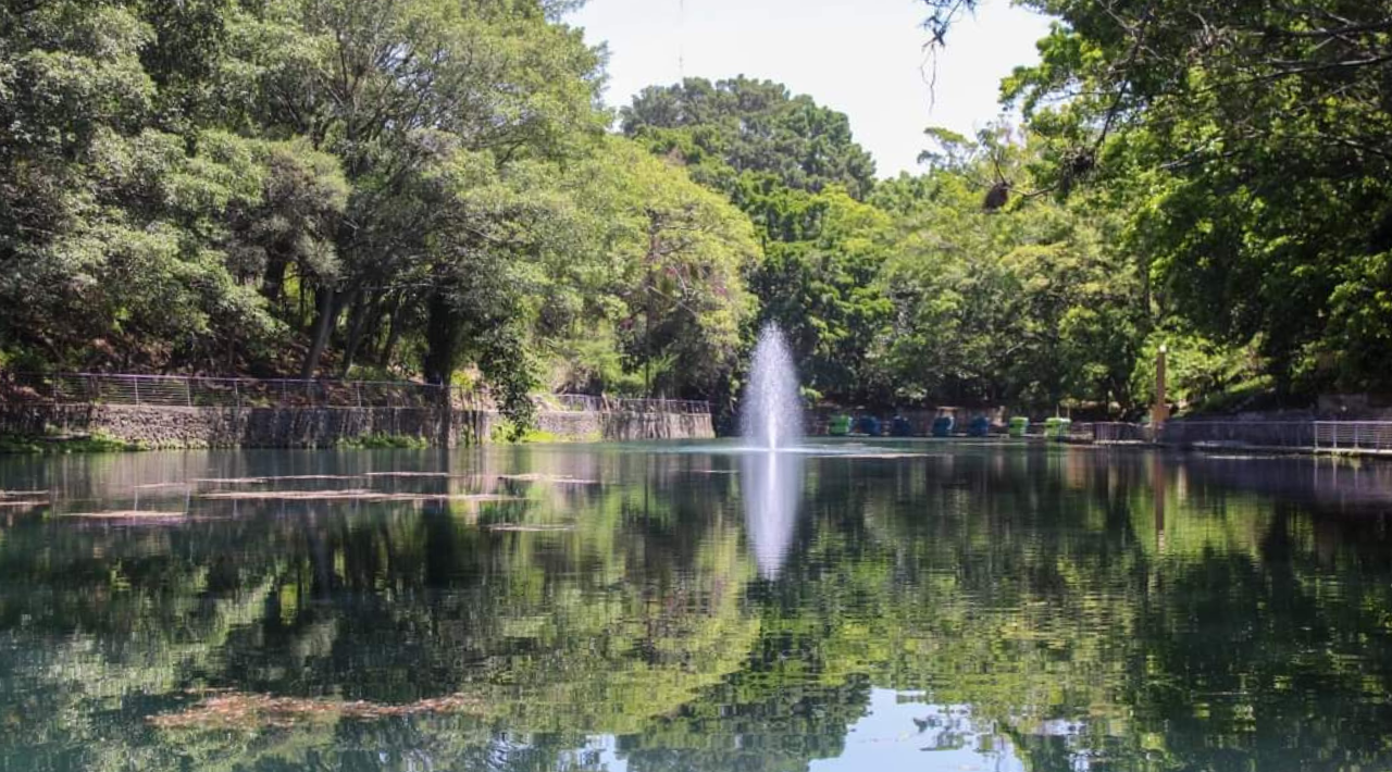 Bajan los niveles de agua de los causes en el Parque Barranca Chapultepec