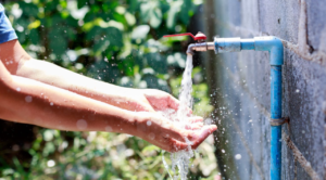 Morelos se suma al Día Mundial del Agua con jornada educativa: “Agua por la Paz”