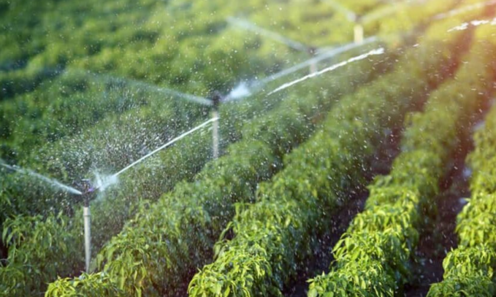 La UAEM implementa en los estudiantes de desarrollo agropecuario la aplicación de nuevas tecnologías para el aprovechamiento del agua en los cultivos