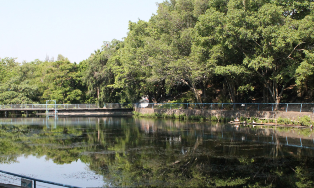 Autoridades del Parque Chapultepec aseguran que es falso que existan grietas en el lago tras Sismo