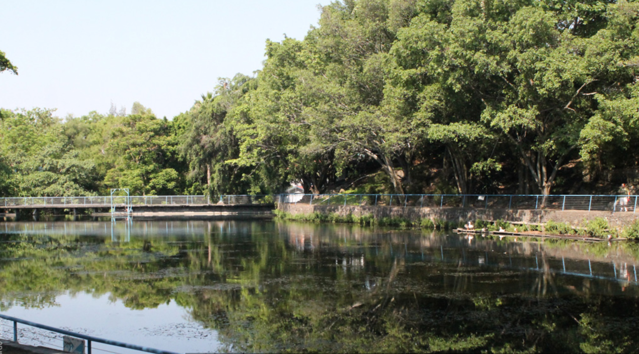 Autoridades del Parque Chapultepec aseguran que es falso que existan grietas en el lago tras Sismo