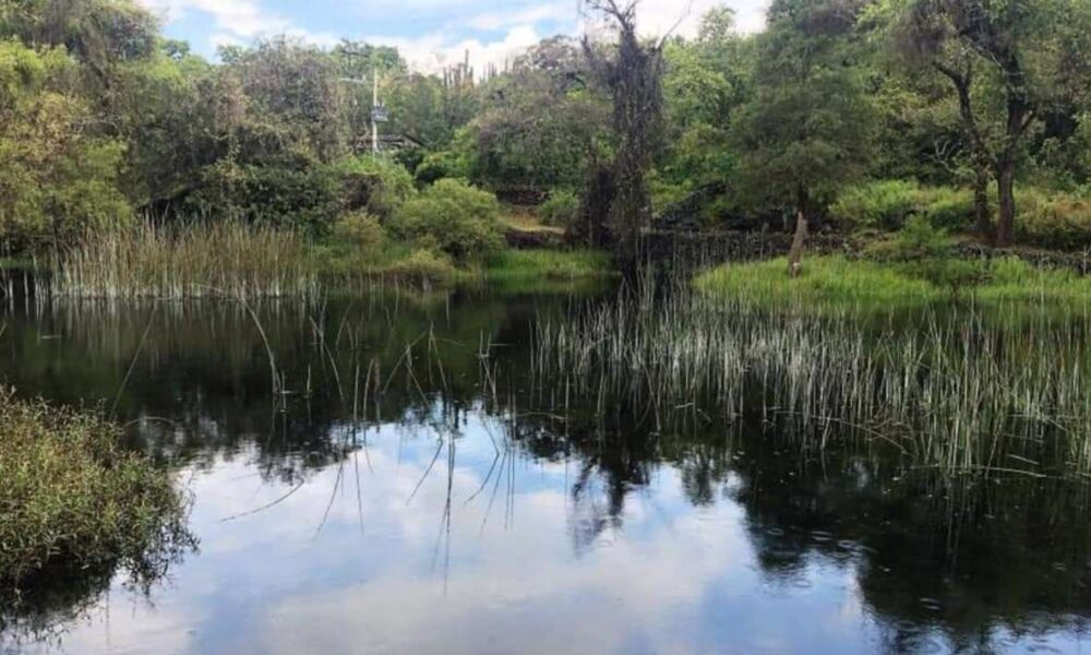 Celebración del Día Mundial de los Humedales en Morelos: Saneamiento crucial para la Laguna de Hueyapan