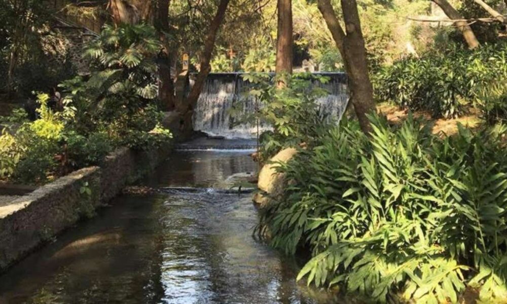 Parque Barranca Chapultepec: De espacio recreativo a Área Natural Protegida