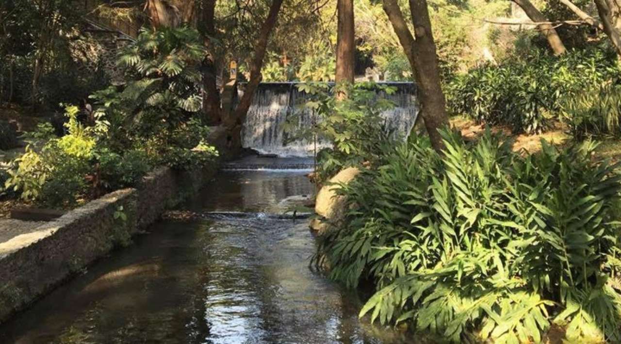 Parque Barranca Chapultepec: De espacio recreativo a Área Natural Protegida