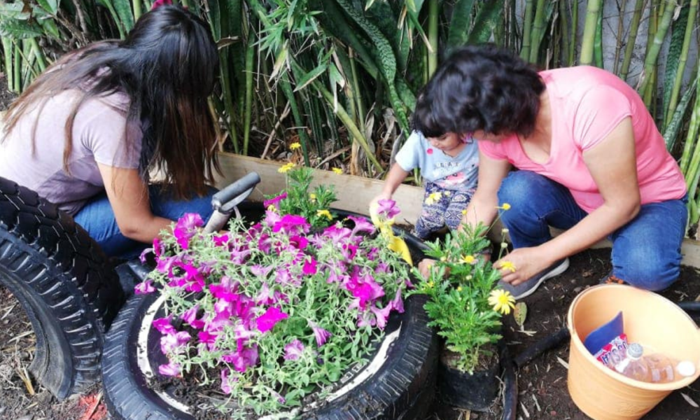 Con el programa “Escuelas Ambientalmente Responsables”, instalarán jardines polinizadores en siete primarias de Cuautla