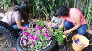 Con el programa “Escuelas Ambientalmente Responsables”, instalarán jardines polinizadores en siete primarias de Cuautla