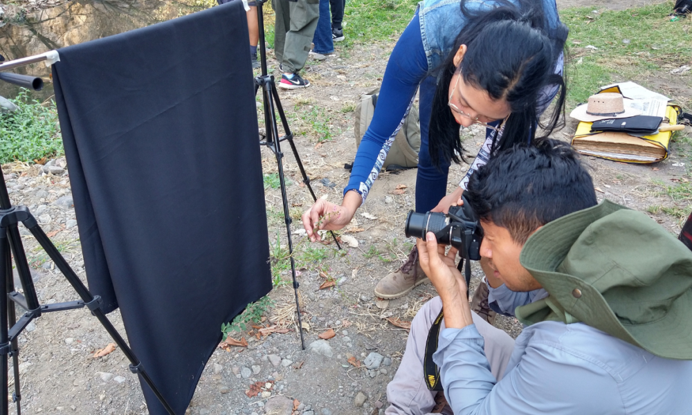 En acción conjunta del Centro de Estudios Mexicanos y Centroamericanos, la UAEM y la Coalición Ambiental, se lleva a cabo el inventario florístico del río Cuautla