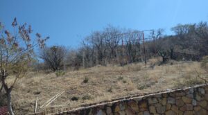 El Ayuntamiento de Jonacatepec prioriza la recuperación del entorno natural del cerro “El Mirador”