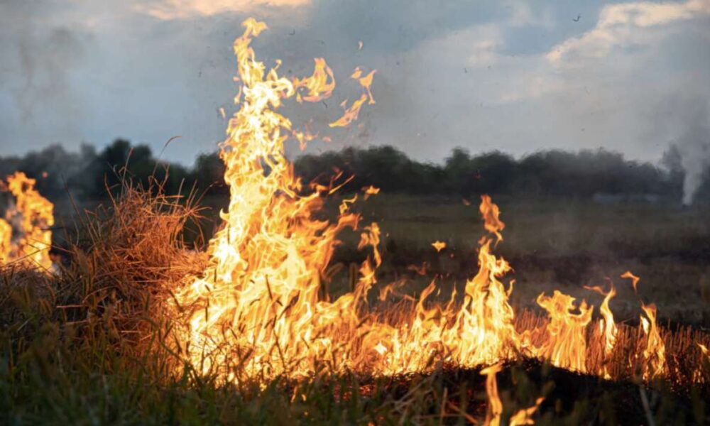 Morelos se une en la lucha contra los Incendios Forestales: Arranca campaña de prevención 2024