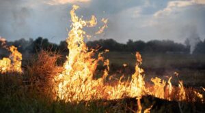 Morelos se une en la lucha contra los Incendios Forestales: Arranca campaña de prevención 2024