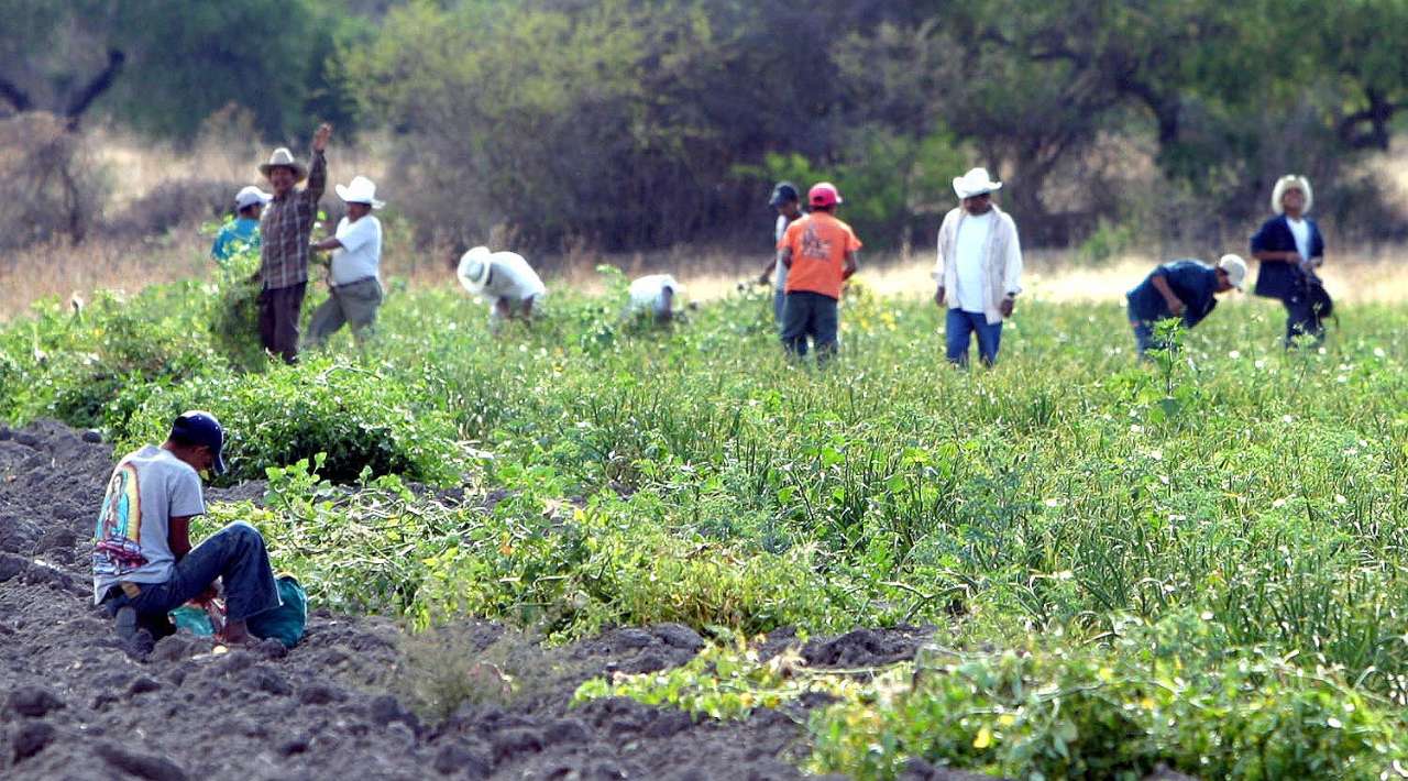 Preparación ante la Sequía: Más de 3,400 agricultores capacitados por SEDAGRO para afrontar la escasez de agua