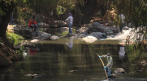 El ayuntamiento de Temixco lleva a cabo jornada de limpieza en el río Apatlaco