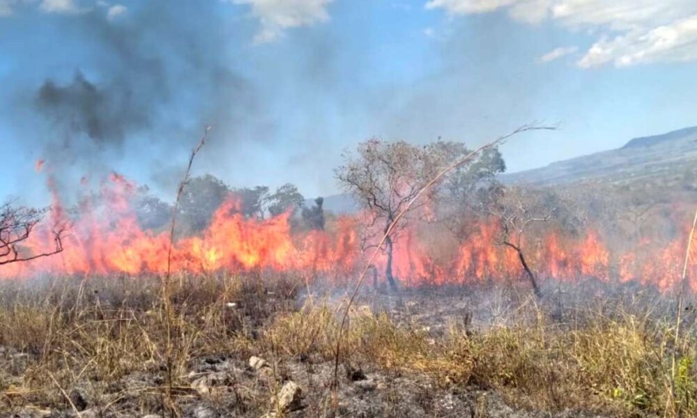 Zacatepec en alerta: 15 incendios de pastizales y un siniestro en vivienda este año