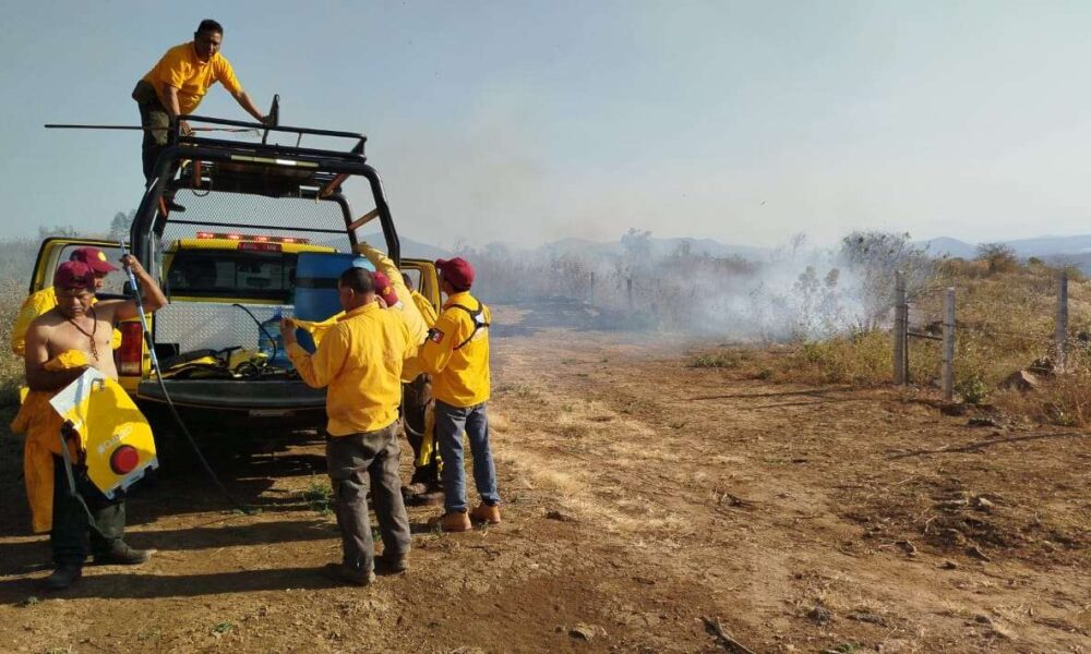 Incendios Forestales: Tepoztlán, epicentro de la preocupación