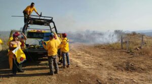 Incendios Forestales: Tepoztlán, epicentro de la preocupación