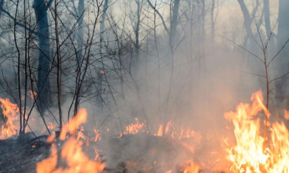 Registra el municipio de Huitzilac tres incendios en lo que va de la temporada