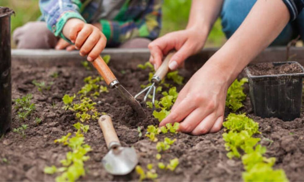 Investigadora de la UNAM propone reconversión Agropecuaria para enfrentar el Cambio Climático