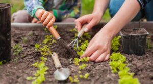 Investigadora de la UNAM propone reconversión Agropecuaria para enfrentar el Cambio Climático