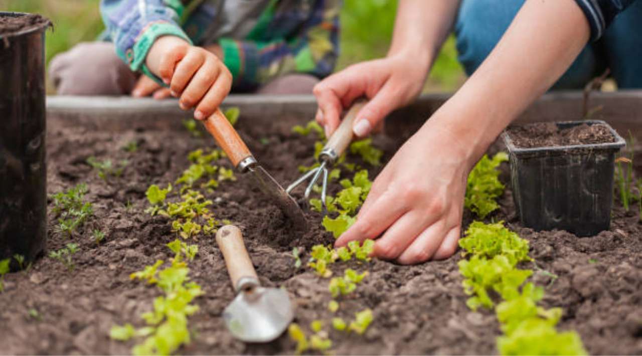 Investigadora de la UNAM propone reconversión Agropecuaria para enfrentar el Cambio Climático