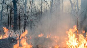 En Tepoztlán implementan medidas para reducir riesgos de incendios forestales