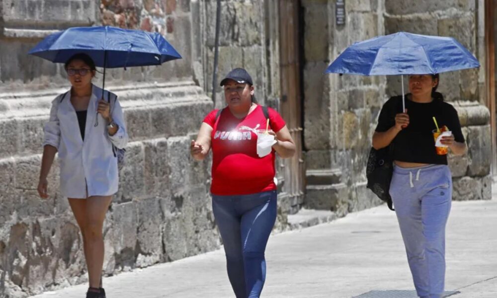 ¡Hidrátate y Prevén! IMSS Ofrece Consejos para Combatir el Golpe de Calor