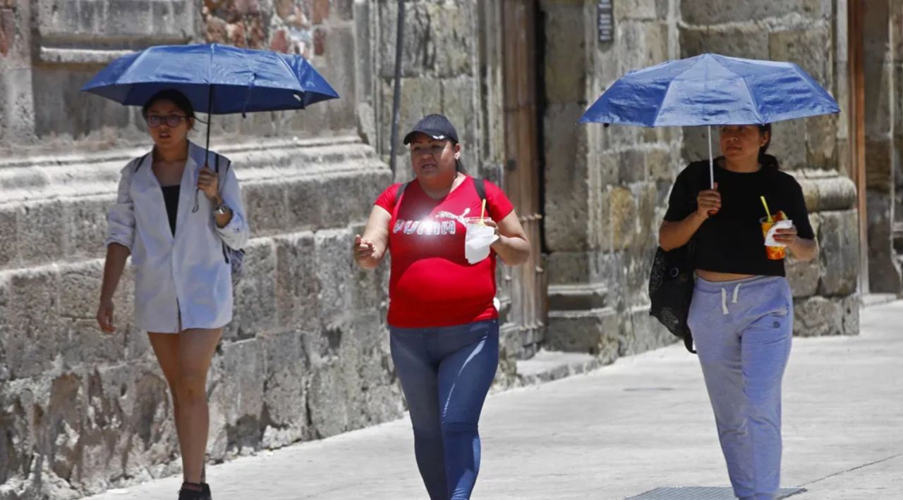 ¡Hidrátate y Prevén! IMSS Ofrece Consejos para Combatir el Golpe de Calor