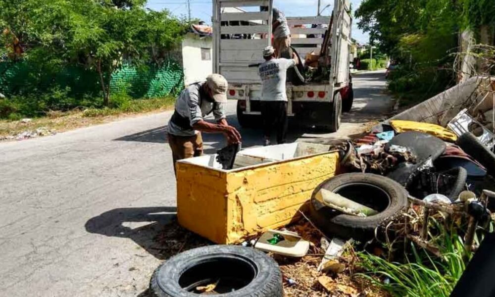 Especialistas resaltan la importancia de la descacharrización de manera constante