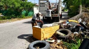 Especialistas resaltan la importancia de la descacharrización de manera constante