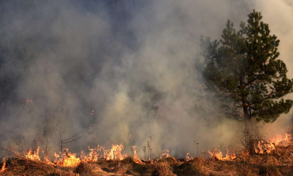 En lo que va del mes de marzo se han registrado en Cuernavaca 13 incendios