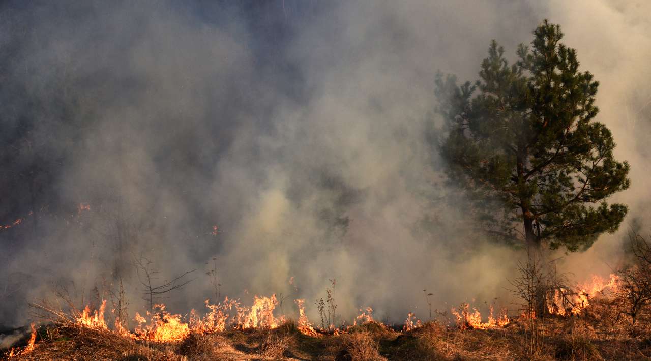 En lo que va del mes de marzo se han registrado en Cuernavaca 13 incendios