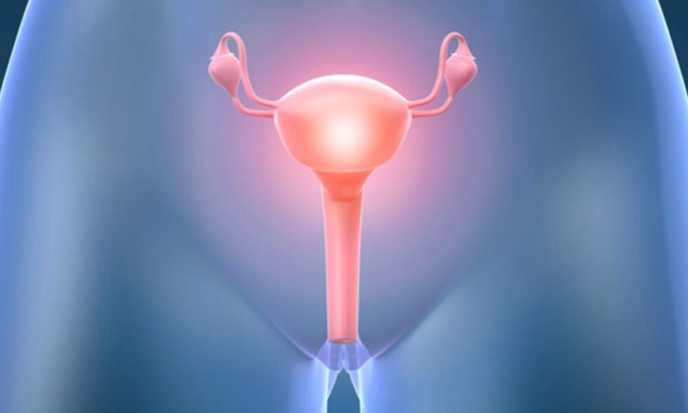 ¡Día Mundial de Prevención del Cuello Uterino! Autoridades de Salud instan a conocer los síntomas