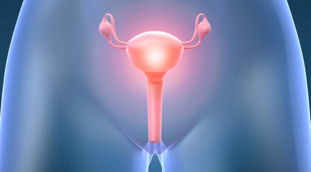 ¡Día Mundial de Prevención del Cuello Uterino! Autoridades de Salud instan a conocer los síntomas