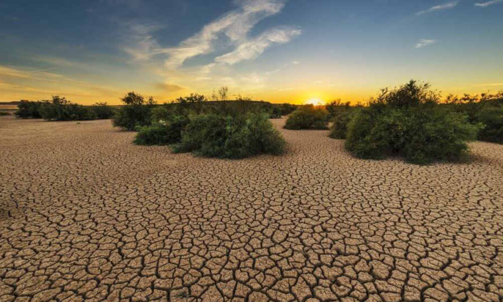 Los daños a los ecosistemas se refleja en la falta de agua