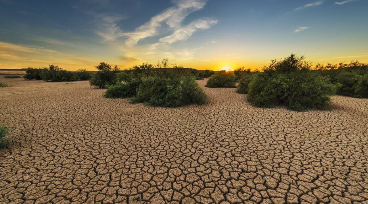 Los daños a los ecosistemas se refleja en la falta de agua