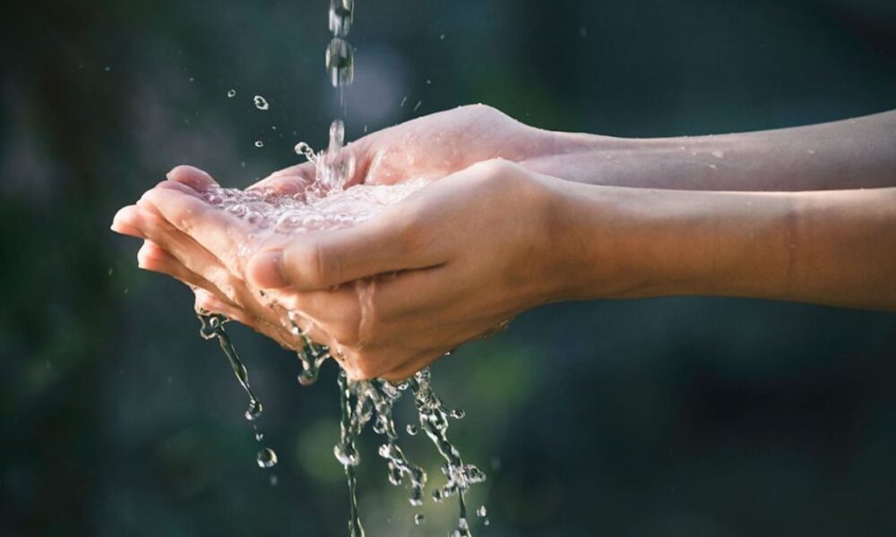 Manantial “El Túnel”: Tesoro Natural en Riesgo en el Día Mundial del Agua