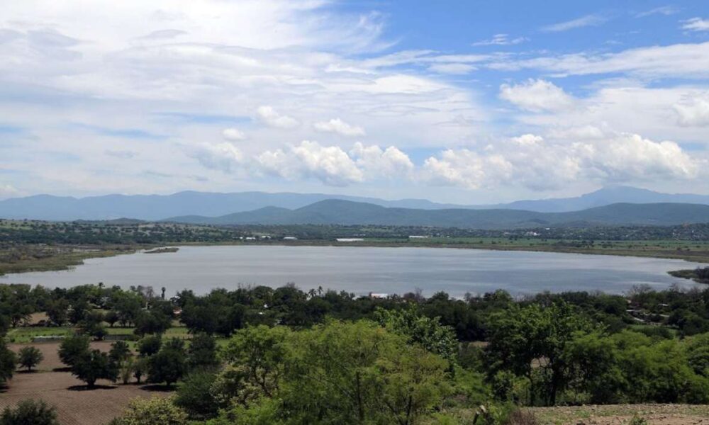 Escasez de Agua en Laguna de Coatetelco y Presa El Rodeo Afecta Reproducción de Peces