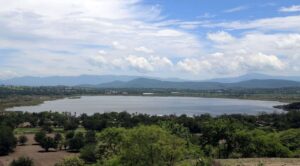 Escasez de Agua en Laguna de Coatetelco y Presa El Rodeo Afecta Reproducción de Peces