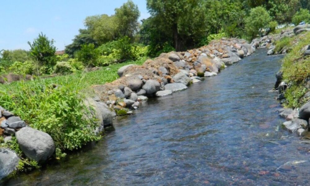 ¡Rescate del Río Cuautla! Convocatoria de la Coalición Ambiental para la Restauración del Afluente