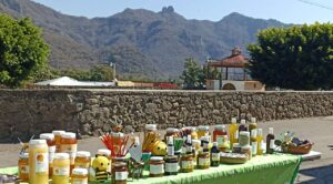 Todo está listo para la Fiesta de la Miel en San Andrés de la Cal, municipio de Tepoztlán, del 15 al 17 de marzo