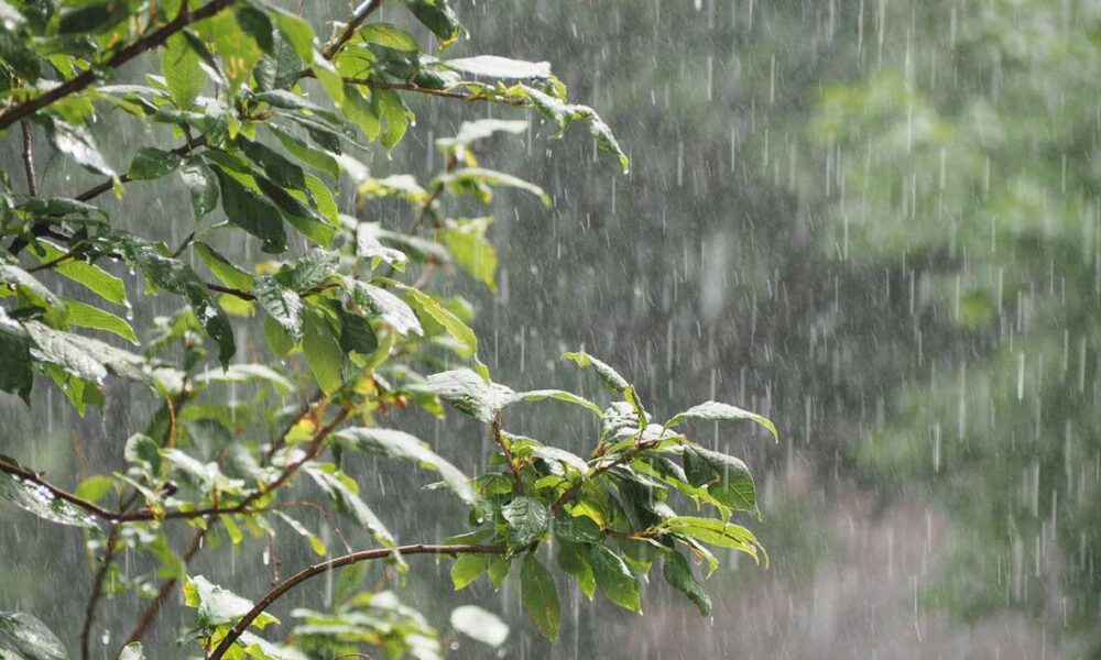 Pronóstico prevé una caída del 30% en las lluvias en Región Oriental de Morelos