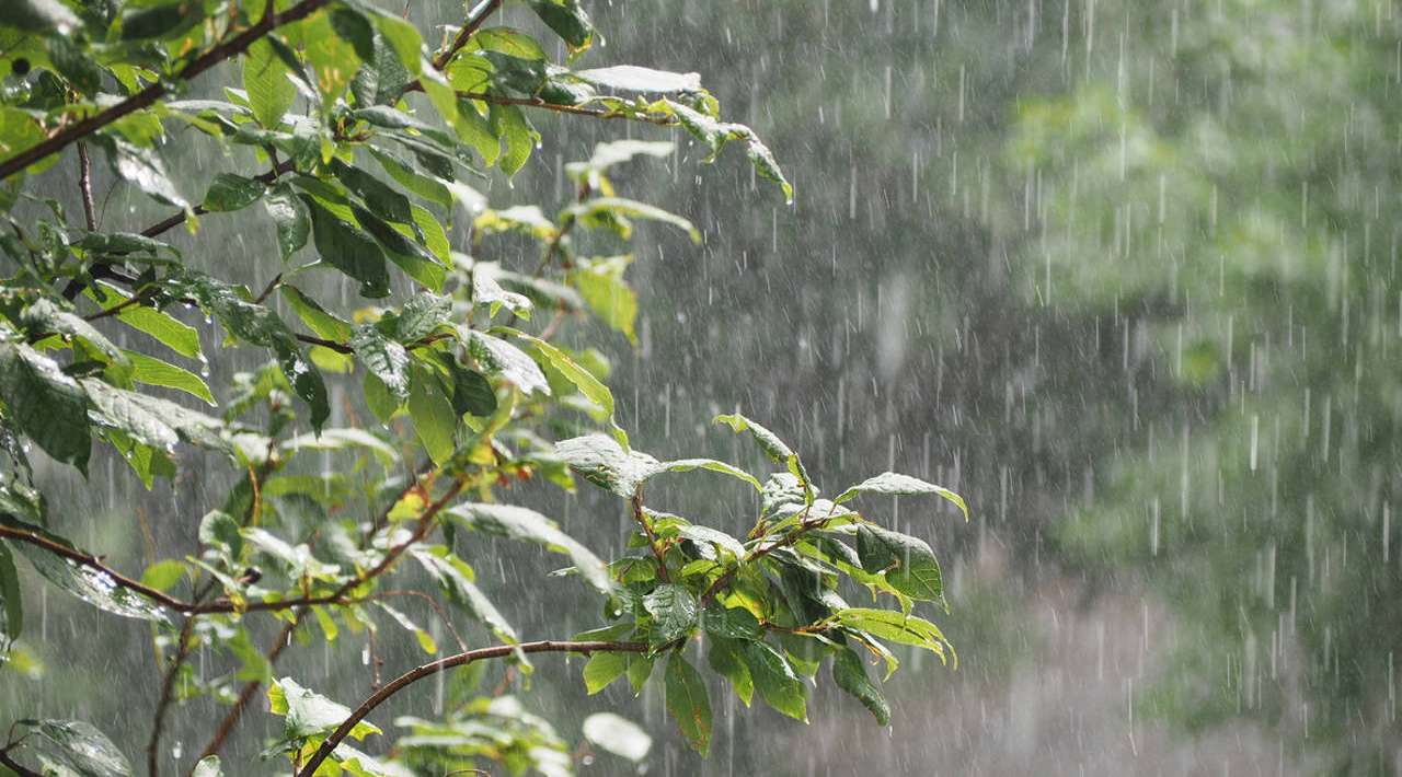 Pronóstico prevé una caída del 30% en las lluvias en Región Oriental de Morelos